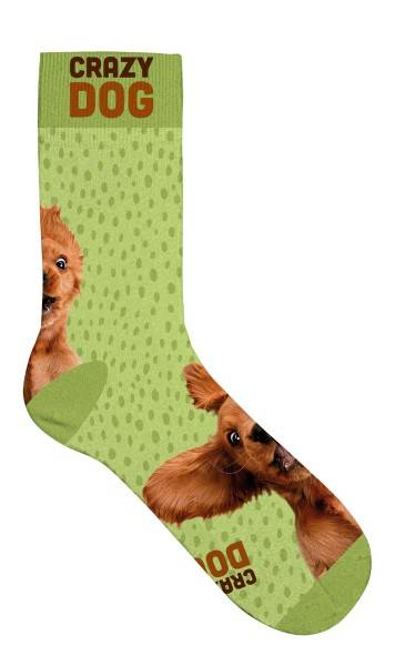 Socken "Crazy dog"